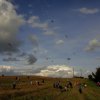 DSC00383-x